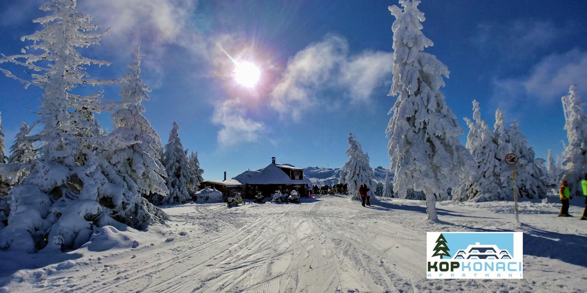 Angella Kop Konaci Daire Kopaonik Dış mekan fotoğraf